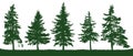 Forest fir trees silhouette. Christmas tree Royalty Free Stock Photo